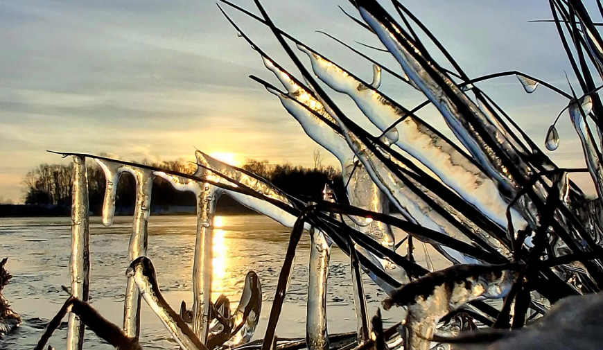 nový rok, masáže, běh, příroda, fotka, slunce, zpomalit, 